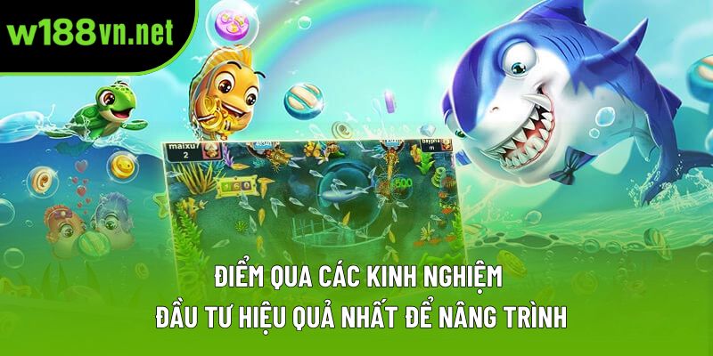 Điểm qua các kinh nghiệm đầu tư hiệu quả nhất để nâng trình
