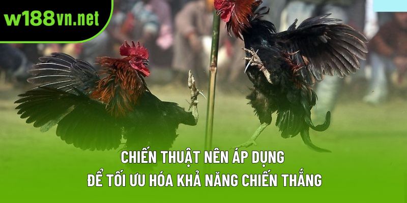 Chiến thuật nên áp dụng để tối ưu hóa khả năng chiến thắng