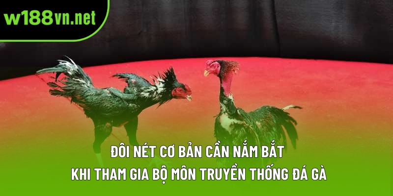 Đôi nét cơ bản cần nắm bắt khi tham gia bộ môn truyền thống đá gà